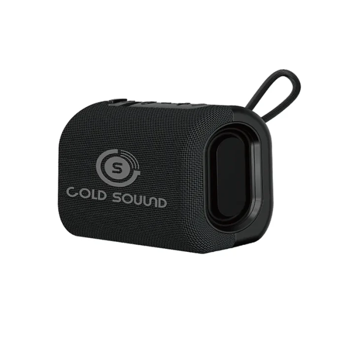 Haut-parleur GOLD SOUND GS 21